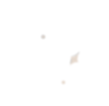 shine right top